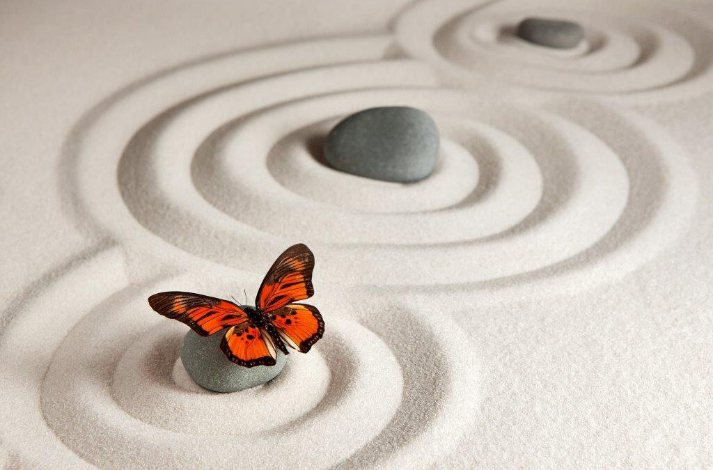 Yin Yoga Kurs 2